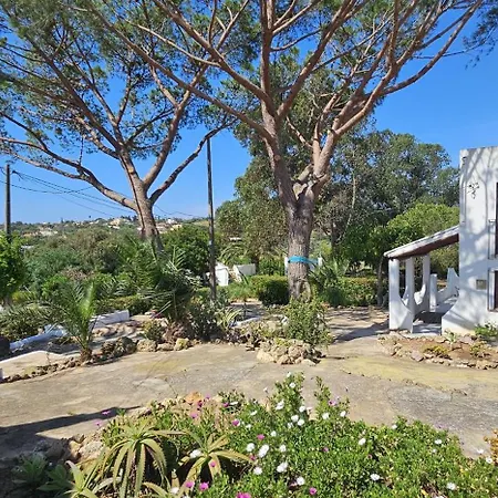 Villa Quinta Do Lagar - Rural Retreat By The Beach #5